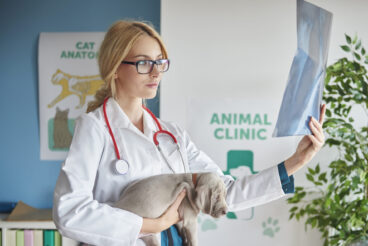 Medicina veterinária: como a IA está revolucionando os diagnósticos por imagem